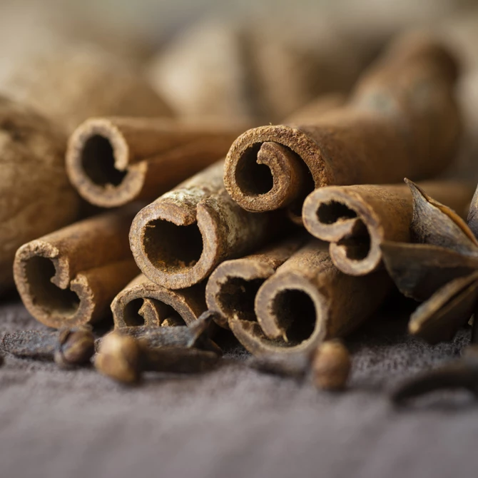 Hopline, a sörfőzőellátó