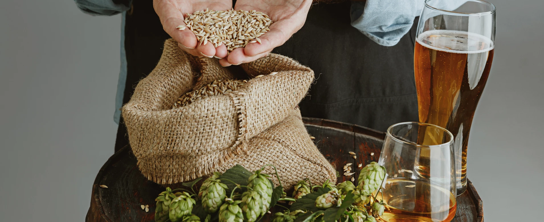 Hopline, a sörfőzőellátó