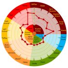 Weyermann Carafa Type II. malt