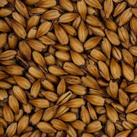 Simpsons DRC maláta