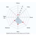 Challenger komló 100g