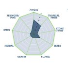 Motueka™ komló 100g