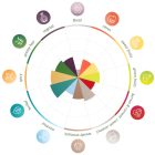 Pilgrim hops 100g - 2020