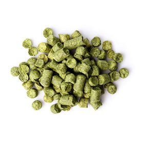 Spalt Select hops 1kg - 2020