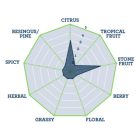 Wai-Iti™ komló 1kg - 2020