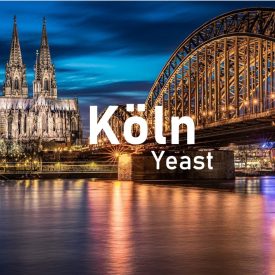 Brewline Köln yeast 12g
