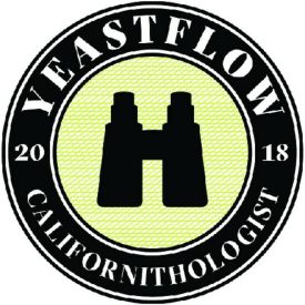 Yeastflow Californithologist yeast