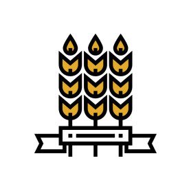 BrewStudio - Hétköznap esti bemutató sörfőzés