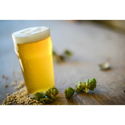 H-00510 Münich Helles / Bajor Láger - 21L