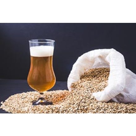 Easy IPA - 21L  - NO YEAST