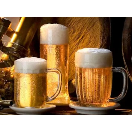 H-02600 Cseh Pilsner 21L - NO YEAST