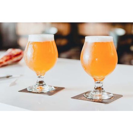 Gose 21L - YEASTFLOW