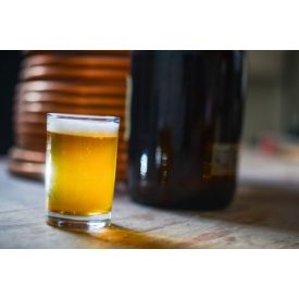 "Washington" Centennial SMaSH IPA