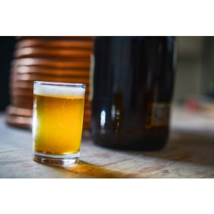 H-04000 "Washington" Centennial Smash IPA receptcsomag - NO YEAST