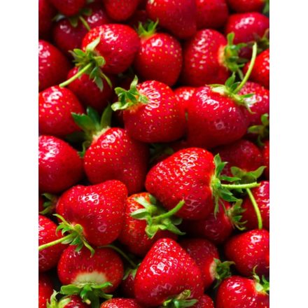 "Strawberry" Strata SMaSH IPA