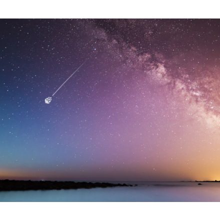 "Lombardia" Mosaic SMaSH IPA - NO YEAST