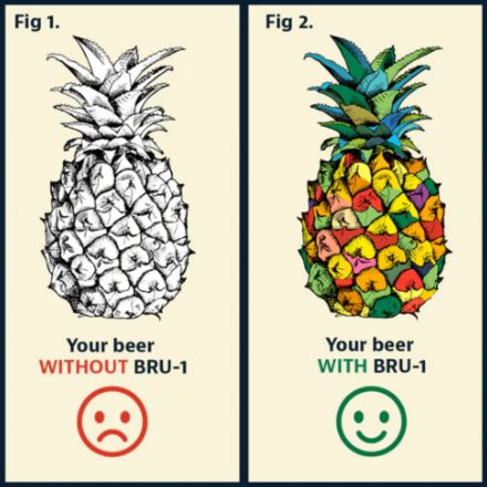 "Pineapple" BRU-1 SMaSH IPA