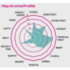 "Ambrosia" Superdelic SMaSH IPA