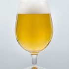 H-05840 "Original" German Pils / Német Pils - 21L - YEASTFLOW