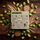Szentandrás BREWBOX "1993" Láger kit