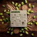 Szentandrás BREWBOX "Laza Morál" IPA kit