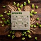 Szentandrás BREWBOX "Napkincs" Búzasör kit