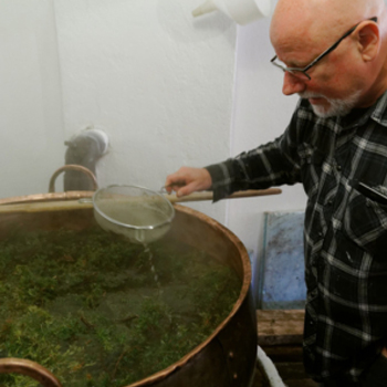 A kveik élesztők színes világa